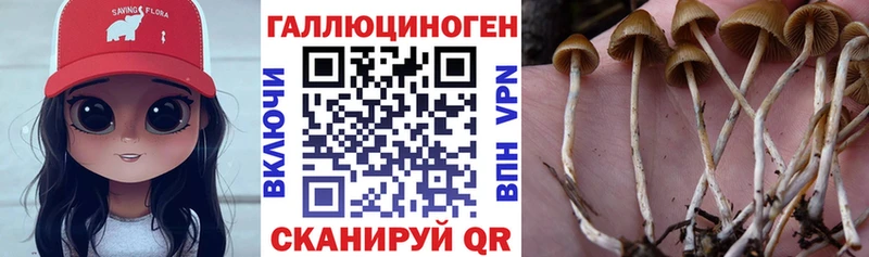 Галлюциногенные грибы мицелий  Боготол 